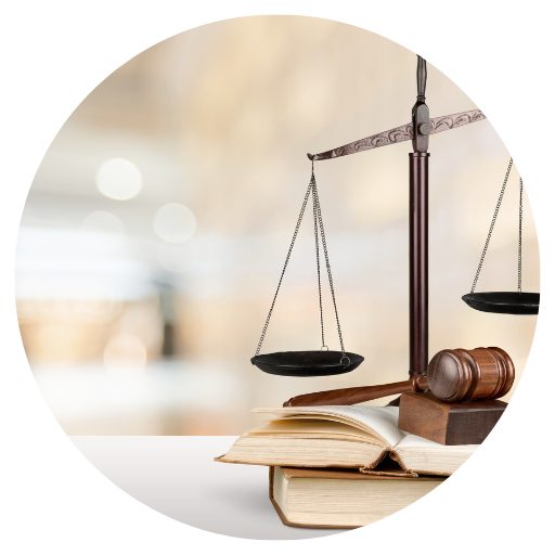 expert testimony